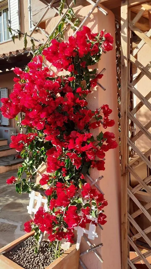 Li Muntigeddi Guest house