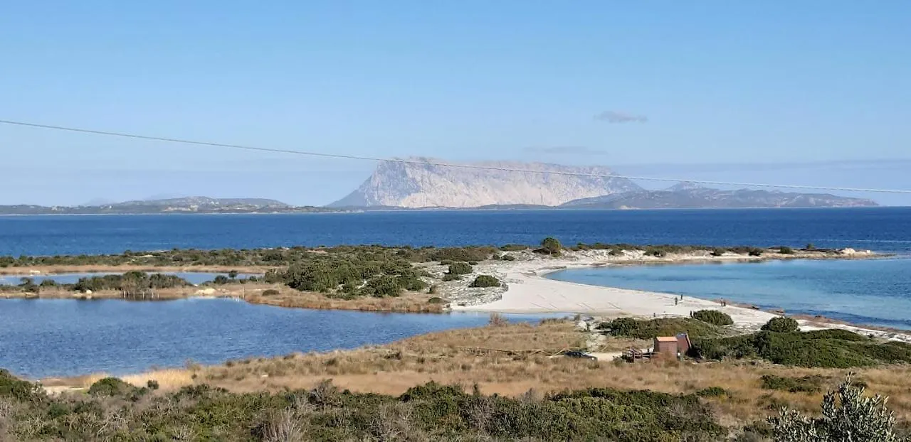 Li Muntigeddi B&B San Teodoro  San Teodoro (Sardinia)