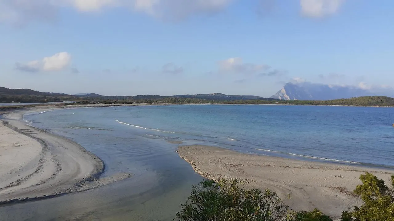Li Muntigeddi B&B San Teodoro  San Teodoro (Sardinia)